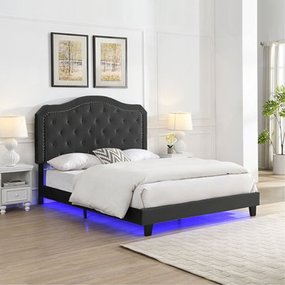 Bouton de lit rembourré capitonné avec un design incurvé - Support de lattes en bois robuste - Assemblage facile - Avec lit plateforme à lumière DEL