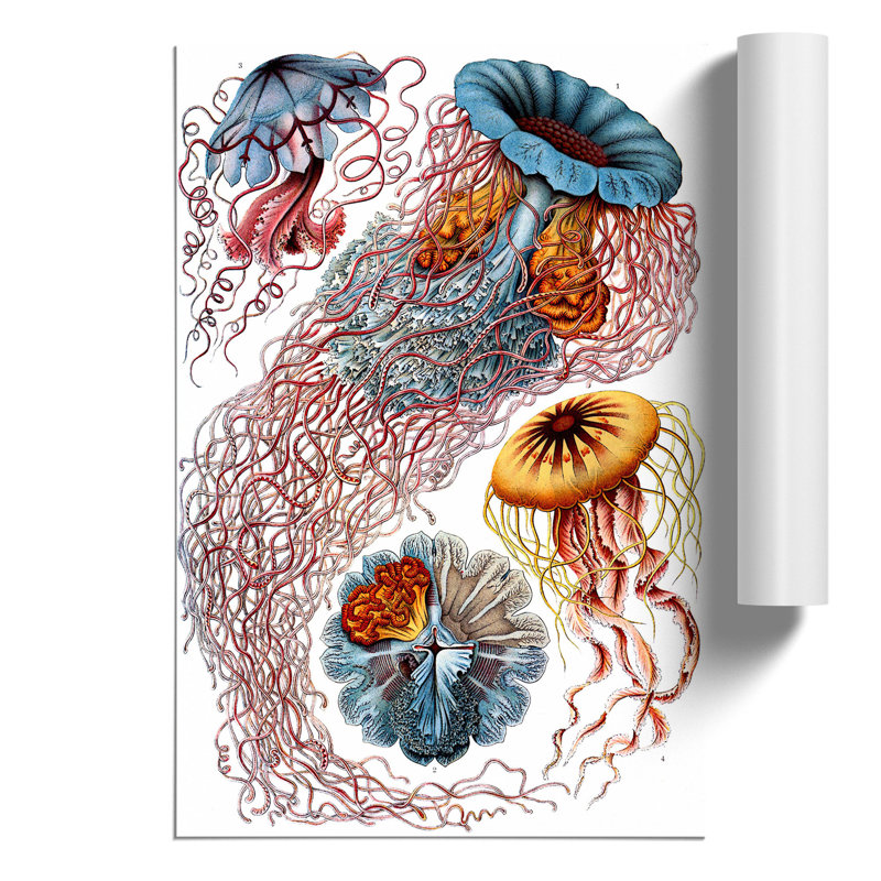 Jellyfish by Ernst Haeckel - Frameless Print, 30cm H x 21cm W x 0.1cm D