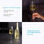 Dano 220ml Flute Set