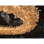 Lustre sphérique en cristal Roxi-91337721-91337723-91337726