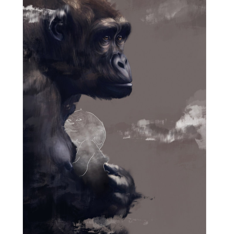 Wrapped Canvas Print, 76.2 cm H x 50.8 cm W