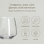 over&back Modern Mouth-Blown Glassware - Set of 4 Contemporary Stemless-99312950