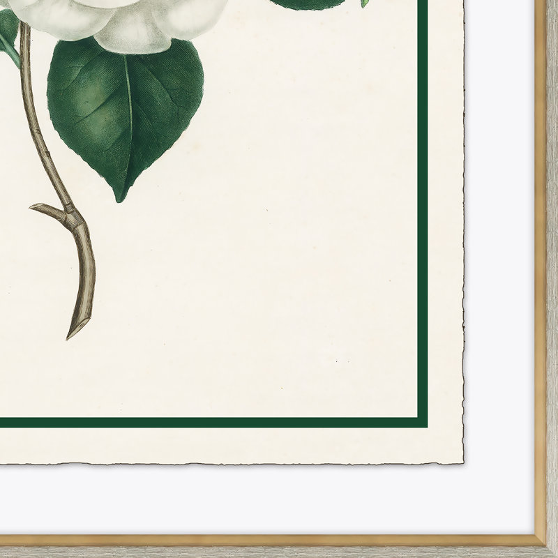 Flora III Giclee Print
