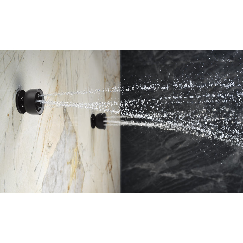 Statement Round Adjustable 2.5 Gpm Body Spray, Matte Black