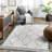 Contemporary Indoor Area Rug-118863264
