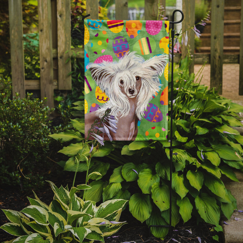 Drapeau de jardin Atara, Chien chinois à crête