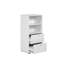 Moindou Bookcase-254247459