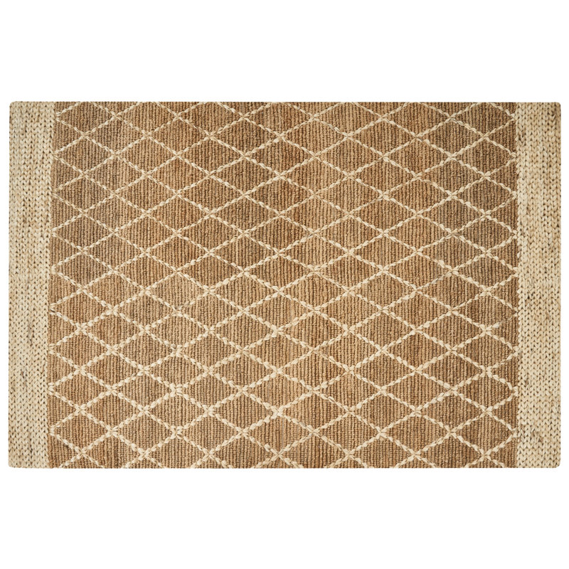 Alexzandria Geometric Hand Woven Area Rug, Rectangle 200 x 300cm