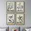 «Pastel Birds I», toile encadrée de qualité supérieure - prête à être accrochée-794121035-794121044