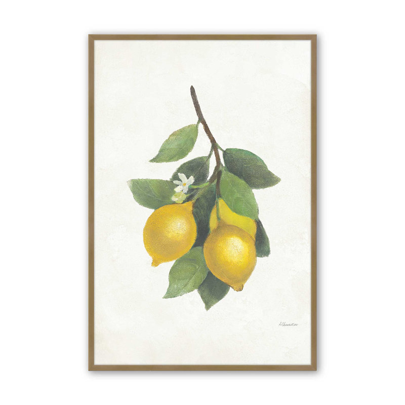 «Lemon Harvest II», Or brossé, H 25,25 po x l 19,25 po