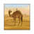 White Framed is unavailable