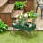 Chasitty Planter-1741917177