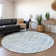 Maliana Indoor/Outdoor Area Rug with Non-Slip Backing