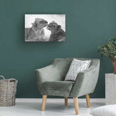 Art sur toile, lions boliviens, Marco Pozzi
