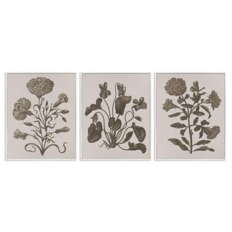  Ensemble de 3 giclées Vintage Country Botanicals par Lil 'Rue, H 14 po x l 11 po