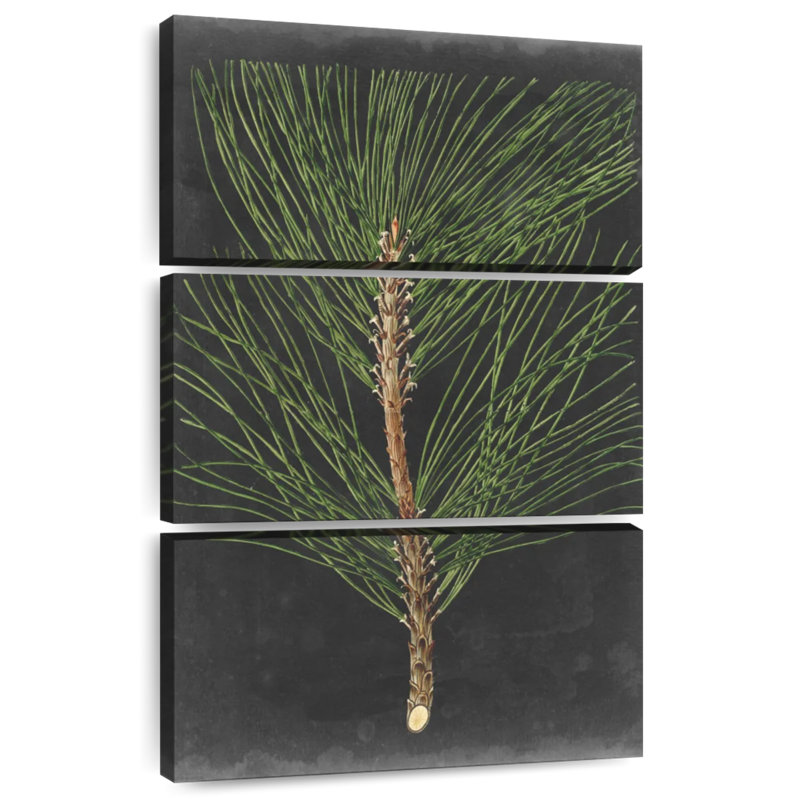 Harnek Dramatic Pine I