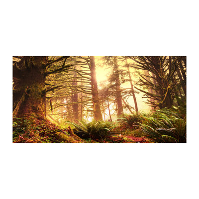 The Rainforest - Wrapped Canvas Print
