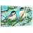 Chickadee Chat-1563248470