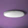Oracle Acrylic Flush Mount