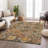 Machine Washable Indoor/Outdoor Boruta ACN2256 Panels Rug-1918688365