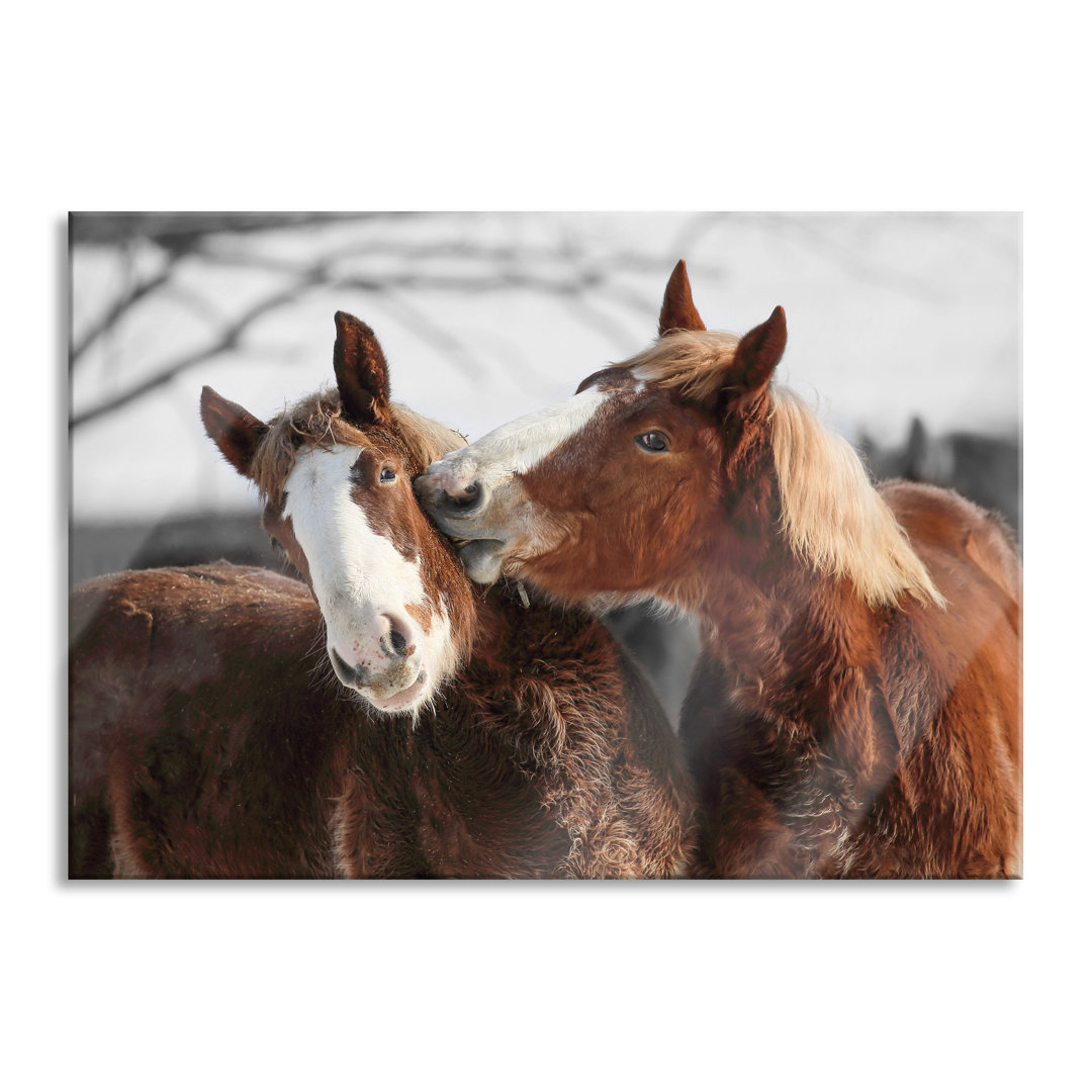 Ungerahmtes Foto auf Glas "Two Brown Ponies"