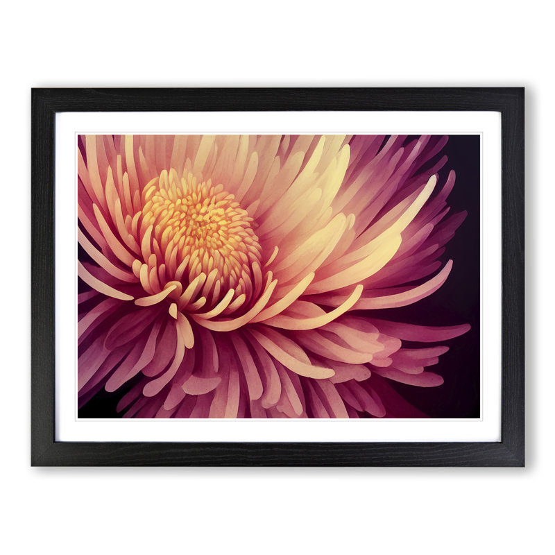 Contemporary Chrysanthemum Flower - Framed Print, Black, 34cm H x 46cm W x 2cm D