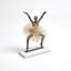 Entertainment Decorative Object