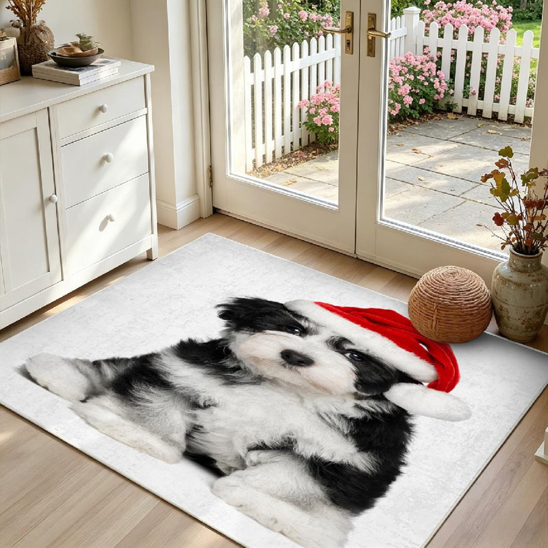 Tapis blanc bichon havanais mignon lavable à la machine assis, Rectangle 39 po x 63 po