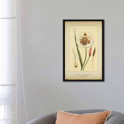 «Mariposa Lily», reproduction sur toile