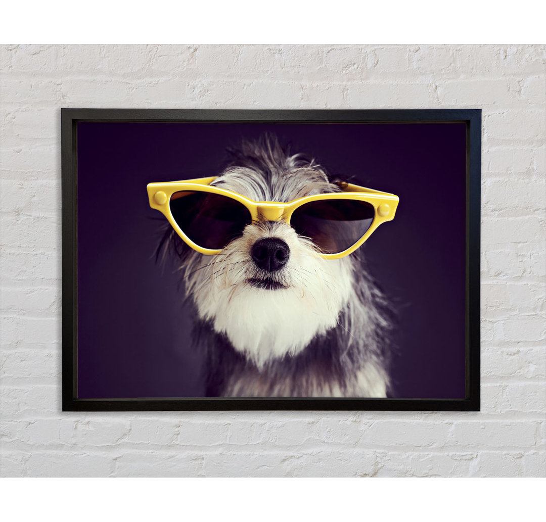 Sonnenbrille Hund Pooch - Einzelner Bilderrahmen Kunstdrucke auf Leinwand