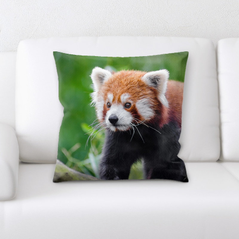 Coussin adorable