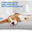 Lit orthopédique en nylon pour animaux-50560964