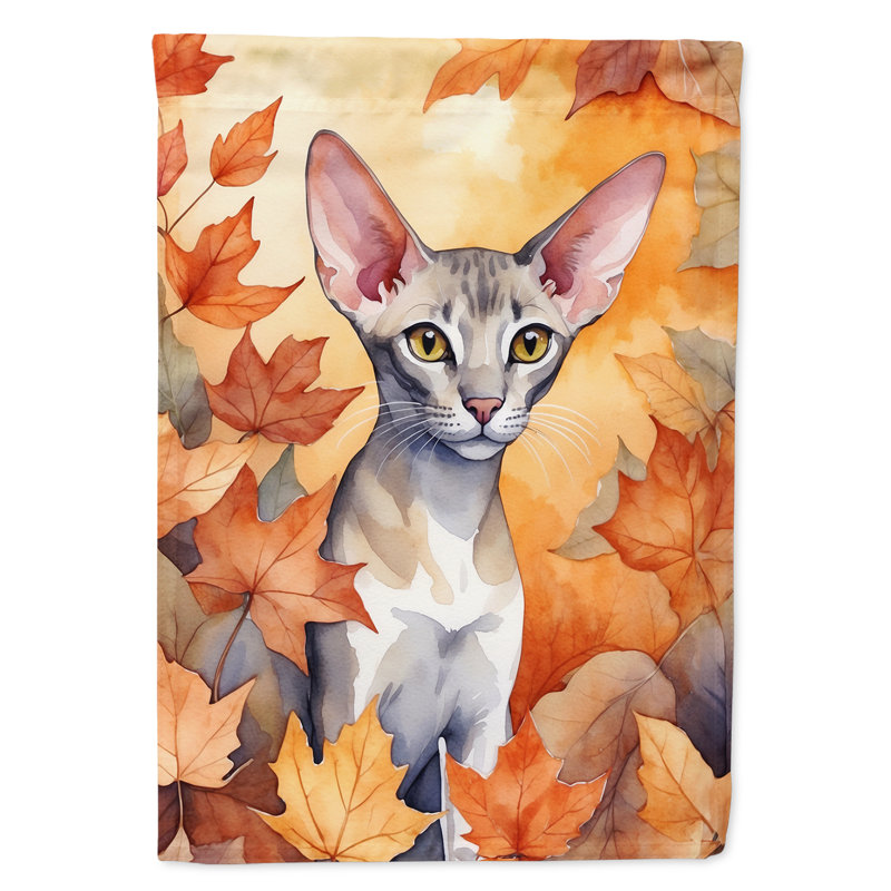 Chat en feuilles d'automne, Oriental Shorthair