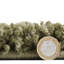 Pechler area rug Machine Woven Green-1296242719