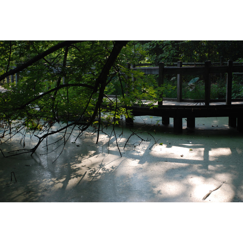 Sunlit Bridge Over Water - Wrapped Canvas Print, 30cm H x 46cm W x 3.8cm D
