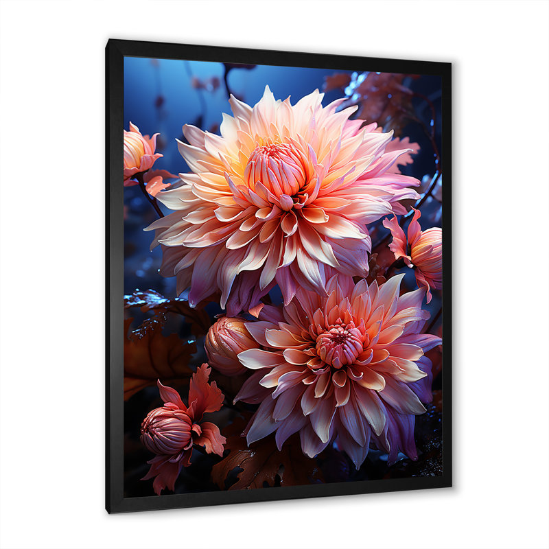 Rose et bleu, floraison de chrysanthèmes, art mural - Chrysanthèmes, H 20 po x l 12 po x P 1 po, Cadre photo noir simple
