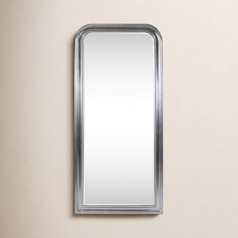 Elphaba Brigida Rectangle Framed Accent Wall Mirror