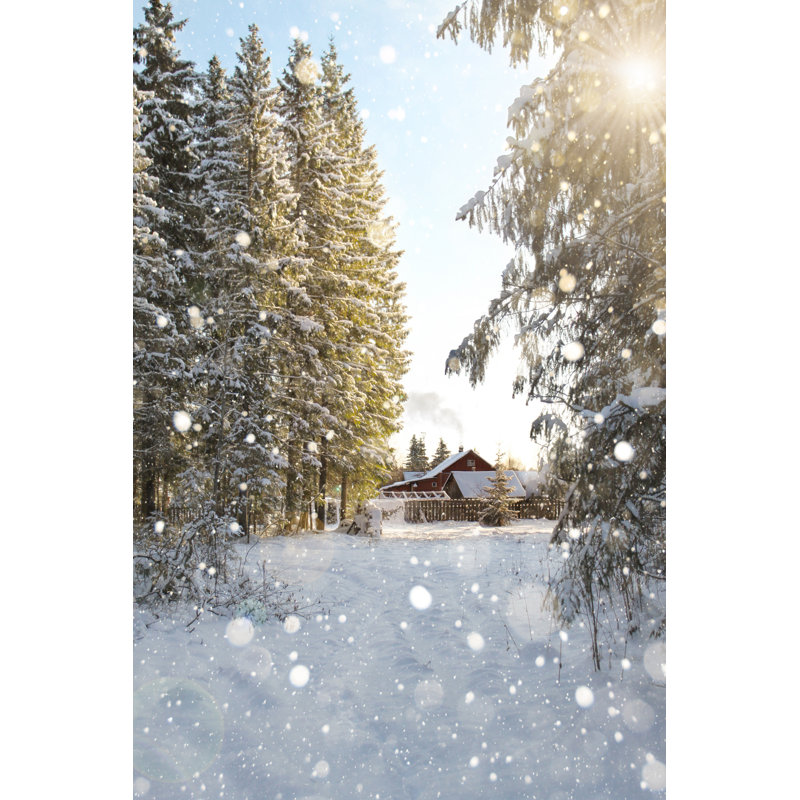 Fond d'hiver - Illustration sans cadre sur toile, H 18 po x l 12 po