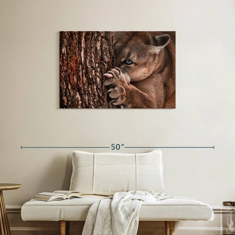 Brampt Peaking Young Cougar, 24" H x 36" W