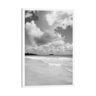 Monochrome Hawaii 1 Piece Wall Art on Canvas