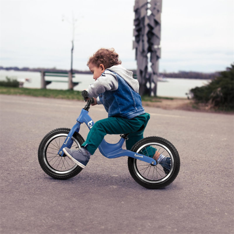 Sparacio 17 Stories Push/Pull Ride On, Blue