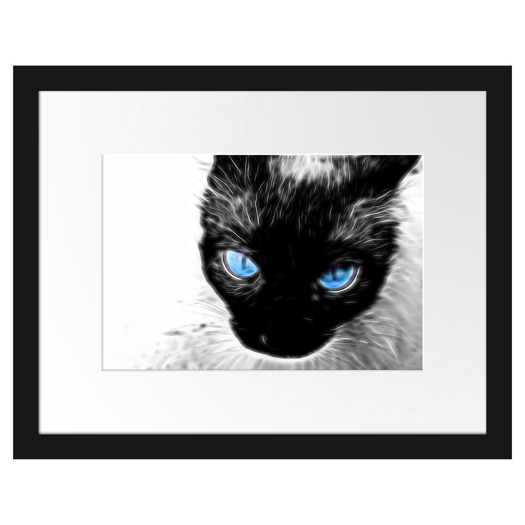 Gerahmtes Poster Blaue Augen Schwarze Katze New Art