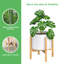 Support pour plante Demarkus-193538341