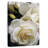 Harnek Creamy White Roses-106960973