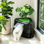 Armoire à litière cachée en acier inoxydable pour chat avec dessus de plante artificielle, mobilier triangulaire peu encombrant pour salon, chambre à coucher et petits espaces-133211289