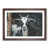 Walnut Framed selected