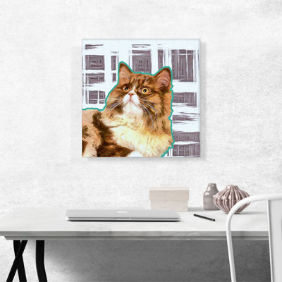 «Ragamuffin Cat Breed», reproduction d'impression sur toile tendue