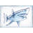 Scary Shark Print on Wrapped Canvas-1937356663