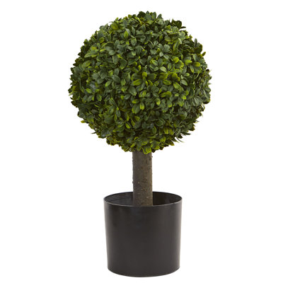 21'' Faux Boxwood Topiary in Ceramic Pot