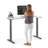 Series L 2S Adj Ht Sgl Desk-59745627-124301839